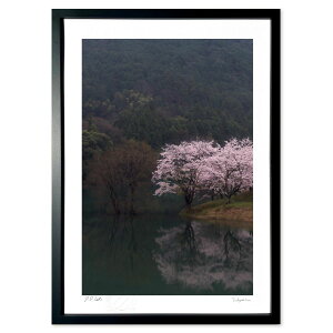 ŉ cjɍ炭t (ramble)CeA Ǌ| z i |X^[ A[g rO ւɏ  v[g _ A[gt[