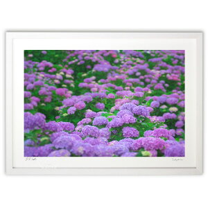 版画 紫の海に包まれて (ramble)インテリア 壁掛け 額入り 風景画 ポスター アート リビング 玄関に飾る 風水 プレゼント モダン アートフレーム