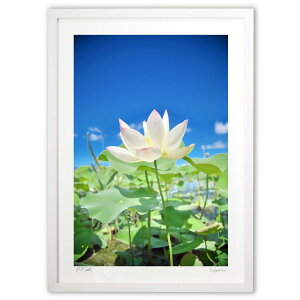 ŉ ̉ɍ炭@̉ (ramble)CeA Ǌ| z i |X^[ A[g rO ւɏ  v[g _ A[gt[