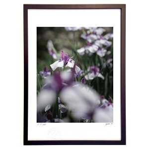 ŉ ԏҊ (yunomi)CeA Ǌ| z i |X^[ A[g rO ւɏ  v[g _ A[gt[