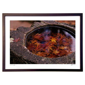 ŉ HƂ߂ (yunomi)CeA Ǌ| z i |X^[ A[g rO ւɏ  v[g _ A[gt[