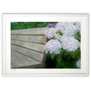 版画 ベンチと紫陽花 (ramble)インテリア 壁掛け 額入り 風景画 ポスター アート リビング 玄関に飾る 風水 プレゼント モダン アートフレーム