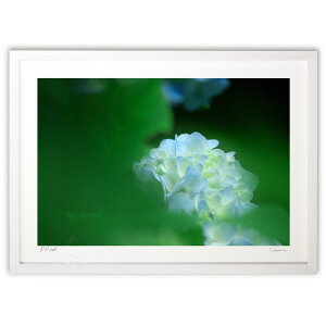 ŉ ƁAz (ramble)CeA Ǌ| z i |X^[ A[g rO ւɏ  v[g _ A[gt[