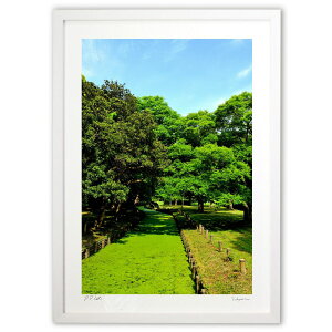 ŉ  ̗΂Yȏ (YKANEKO)