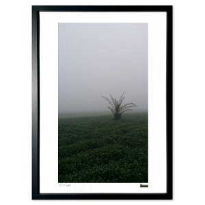 ŉ fog 3 (Omar)CeA Ǌ| z i |X^[ A[g rO ւɏ  v[g _ A[gt[