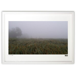 ŉ fog 4 (Omar)CeA Ǌ| z i |X^[ A[g rO ւɏ  v[g _ A[gt[