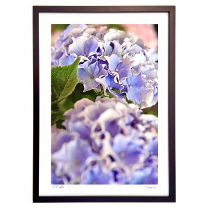 ŉ u[̎z (mitan)CeA Ǌ| z i |X^[ A[g rO ւɏ  v[g _ A[gt[