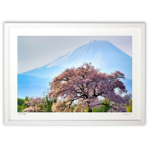 ŉ 330N@ɒ˂̈{ƕxmR (YKANEKO)