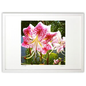 yX[p[SALEzzŉ  (maria)CeA Ǌ| z i |X^[ A[g rO ւɏ  v[g _ A[gt[