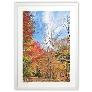 yƂ̍iz̍gtԂRgtB̍gt̐XłB&