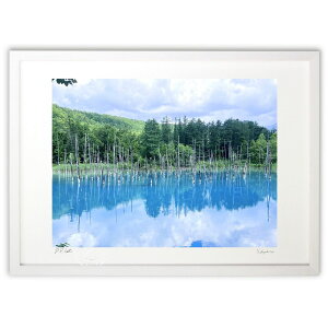 ŉ r ({ \i)CeA Ǌ| z i |X^[ A[g rO ւɏ  v[g _ A[gt[