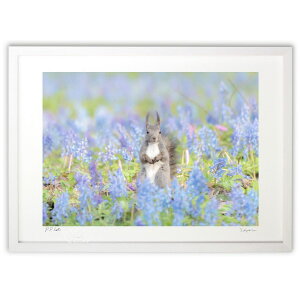 ŉ G]X ({ \i)CeA Ǌ| z i |X^[ A[g rO ւɏ  v[g _ A[gt[