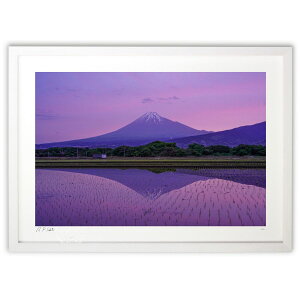 ŉ xmRƐctNV (]G)CeA Ǌ| z i |X^[ A[g rO ւɏ  v[g _ A[gt[