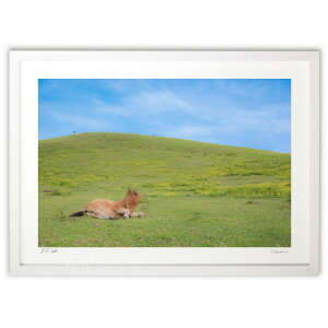 ŉ n̂났^C ({ \i)CeA Ǌ| z i |X^[ A[g rO ւɏ  v[g _ A[gt[