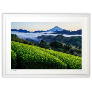 版画 富士山雲海と新茶 (望月秀明)インテリア 壁掛け 額入り 風景画 ポスター アート リビング 玄関に飾る 風水 プレゼント モダン アートフレーム