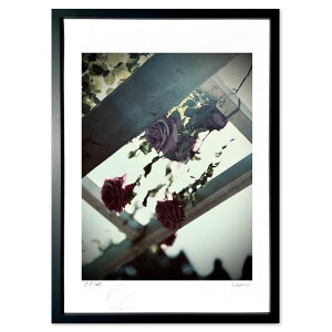 yX[p[SALEzzŉ mX^WbNKN (ruharu)CeA Ǌ| z i |X^[ A[g rO ւɏ  v[g _ A[gt[