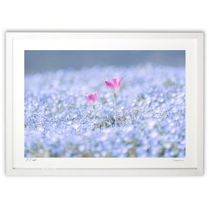 ŉ tJ ({ \i)CeA Ǌ| z i |X^[ A[g rO ւɏ  v[g _ A[gt[