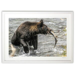 ŉ Fƍ ({ \i)CeA Ǌ| z i |X^[ A[g rO ւɏ  v[g _ A[gt[