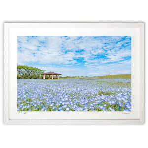 ŉ ltB ({ \i)CeA Ǌ| z i |X^[ A[g rO ւɏ  v[g _ A[gt[