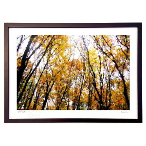 ŉ Ȟ̒ (yu_)CeA Ǌ| z i |X^[ A[g rO ւɏ  v[g _ A[gt[