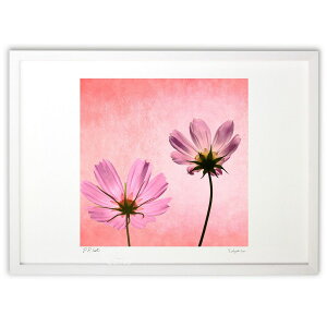 ŉ RXX (yu_)CeA Ǌ| z i |X^[ A[g rO ւɏ  v[g _ A[gt[