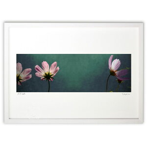 ŉ RXX (yu_)CeA Ǌ| z i |X^[ A[g rO ւɏ  v[g _ A[gt[