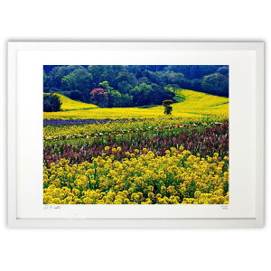 yX[p[SALEzzŉ ؂̉ԂuʂWHԎV~A (Satoyan)