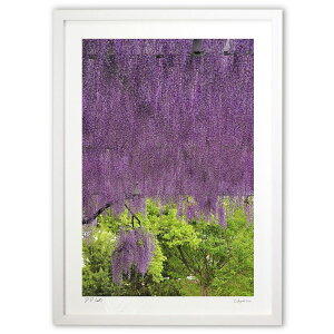 ŉ ꓡ (mitan)CeA Ǌ| z i |X^[ A[g rO ւɏ  v[g _ A[gt[