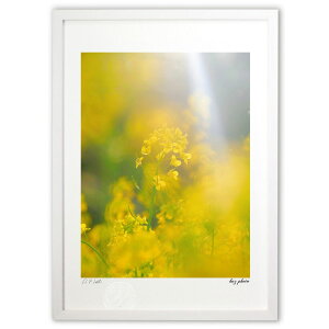 ŉ ؂̉ (kaz photo)CeA Ǌ| z i |X^[ A[g rO ւɏ  v[g _ A[gt[