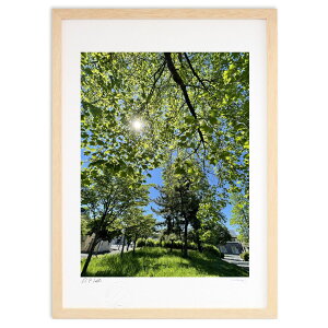 ŉ ܂ꂽ΂̗΂ (n[j[)CeA Ǌ| z i |X^[ A[g rO ւɏ  v[g _ A[gt[