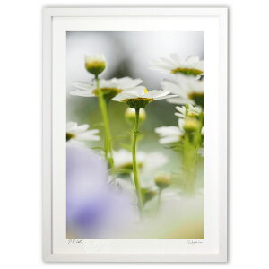 版画 咲き誇る花々 (アカシュモクザメ)インテリア 壁掛け 額入り 風景画 ポスター アート リビング 玄関に飾る 風水 プレゼント モダン アートフレーム