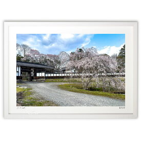 【スーパーSALE半額】版画 春爛漫 (白ウサギ)インテリア 壁掛け 額入り 風景画 ポスター アート リビング 玄関に飾る 風水 プレゼント モダン アートフレーム