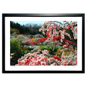 版画 上中の花桃 (奥野利夫)インテリア 壁掛け 額入り 風景画 ポスター アート リビング 玄関に飾る 風水 プレゼント モダン アートフレーム