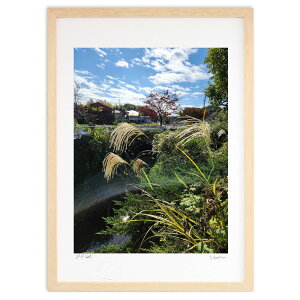 ŉ H̋ (L)CeA Ǌ| z i |X^[ A[g rO ւɏ  v[g _ A[gt[