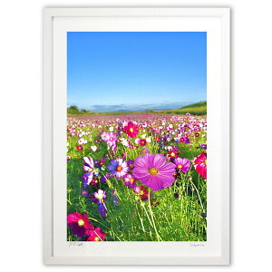 ŉ ̏H (mitan)CeA Ǌ| z i |X^[ A[g rO ւɏ  v[g _ A[gt[