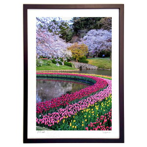 ŉ t̋ (엘v)CeA Ǌ| z i |X^[ A[g rO ւɏ  v[g _ A[gt[