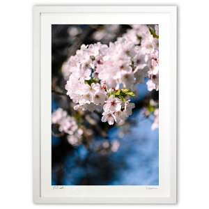 ŉ t (Rcm)CeA Ǌ| z i |X^[ A[g rO ւɏ  v[g _ A[gt[