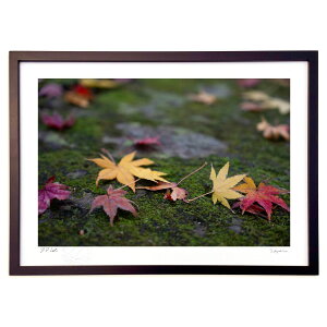 yƂ̍izۂނ΂̏ɉ闎tt̉FEԂ̃RgXgɖڂ܂܂B&