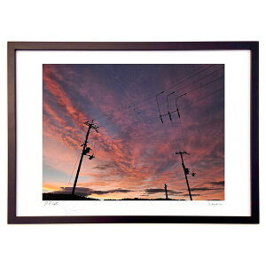 ŉ [Ă (A.O.)CeA Ǌ| z i |X^[ A[g rO ւɏ  v[g _ A[gt[