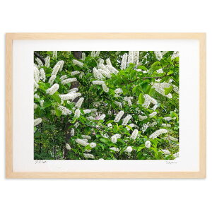 ŉ  (Xm[oj)CeA Ǌ| z i |X^[ A[g rO ւɏ  v[g _ A[gt[