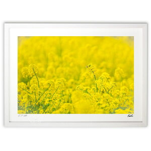 ŉ t̖K (eishowmutoh)CeA Ǌ| z i |X^[ A[g rO ւɏ  v[g _ A[gt[