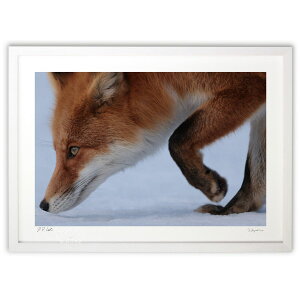 yX[p[SALEzzŉ Ǎ (c aK)CeA Ǌ| z i |X^[ A[g rO ւɏ  v[g _ A[gt[