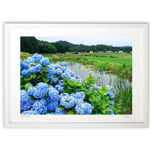 ŉ AWTC̍炭r ({v)CeA Ǌ| z i |X^[ A[g rO ւɏ  v[g _ A[gt[