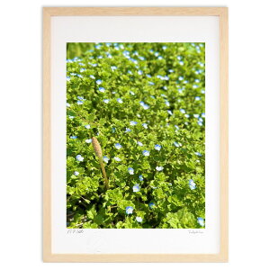 版画 春。つくしと緑と青 (榎本高行)インテリア 壁掛け 額入り 風景画 ポスター アート リビング 玄関に飾る 風水 プレゼント モダン アートフレーム
