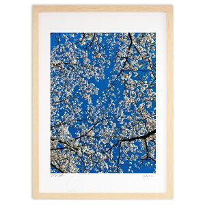 ŉ Ƃ (|{s)CeA Ǌ| z i |X^[ A[g rO ւɏ  v[g _ A[gt[