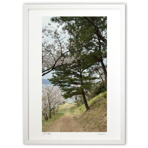 版画 桜道の先にあるベンチ (岩ちゃん)インテリア 壁掛け 額入り 風景画 ポスター アート リビング 玄関に飾る 風水 プレゼント モダン アートフレーム