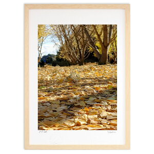 ŉ ӏHO~ (@ )CeA Ǌ| z i |X^[ A[g rO ւɏ  v[g _ A[gt[