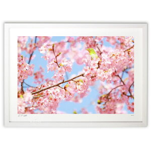 ŉ  сK^ĂэށIWy2z (Kyoko.Abe)