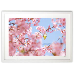 ŉ  сK^ĂэށIWy3z (Kyoko.Abe)