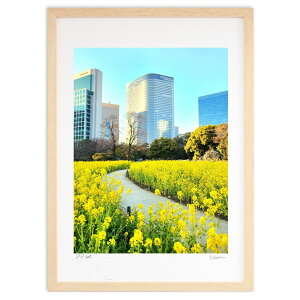 版画 菜の花 (Rito)インテリア 壁掛け 額入り 風景画 ポスター アート リビング 玄関に飾る 風水 プレゼント モダン アートフレーム